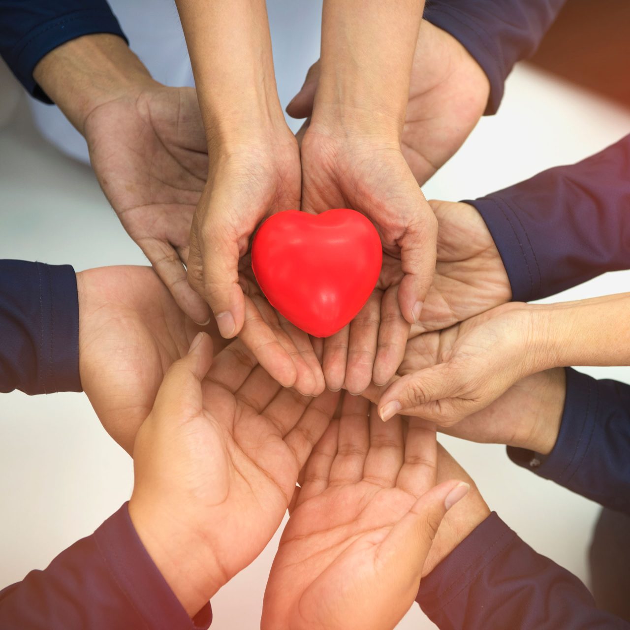 Community enterprise heart hand image