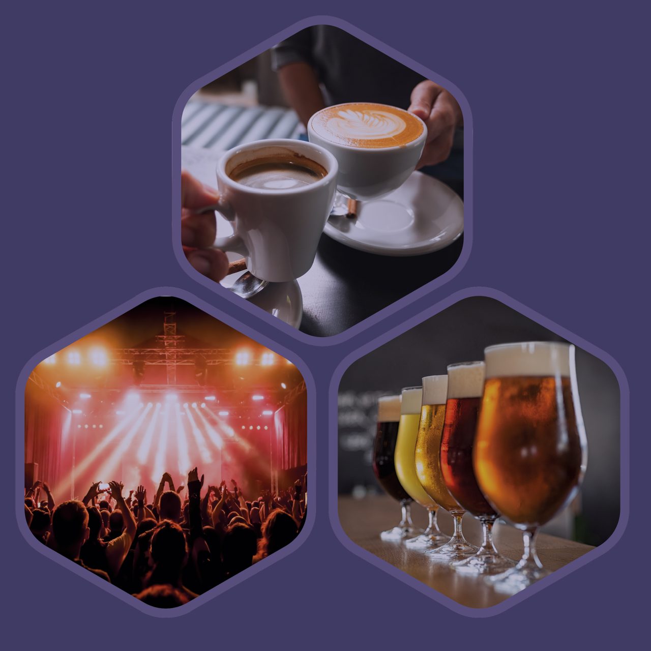 3 hexagon shapes on a purple background the three shapes show people drinking coffee people at a concert and a row of pints