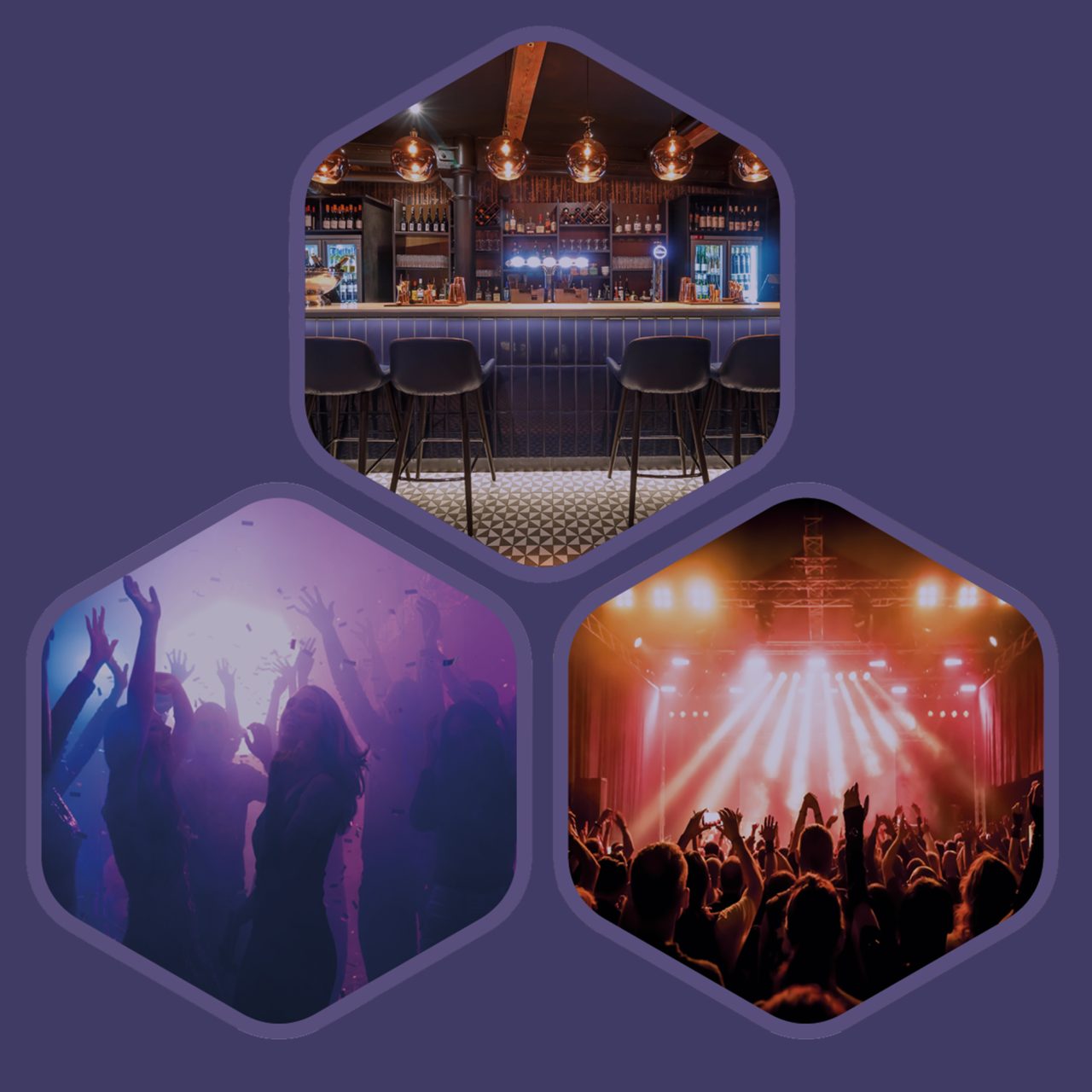 3 hexagons on a purple background the hexagons have different images in them one is a bar, one is people in a nightclub and 1 is people at a concert