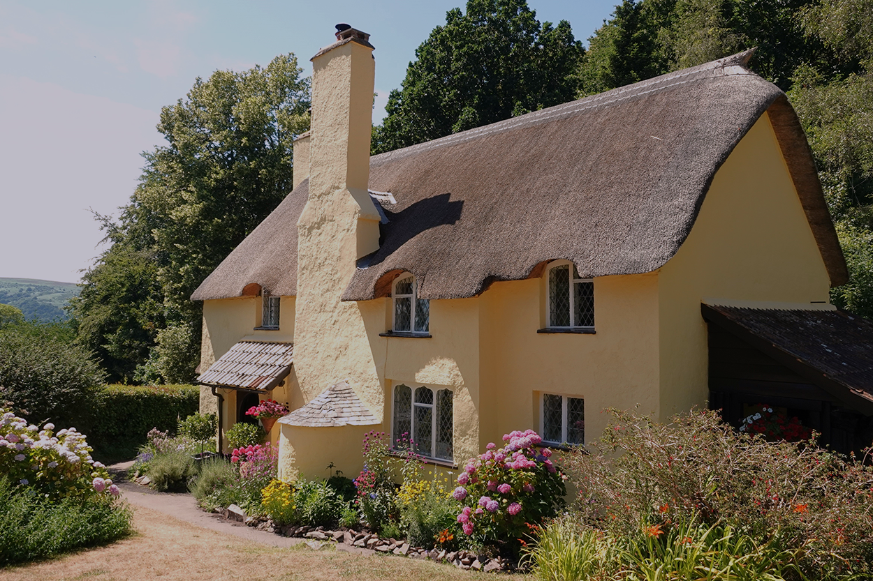 Introducing Thatched Home Insurance